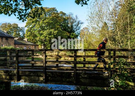 Passerelle en bois traversant la rivière Skell avec un homme qui la traverse avec des arbres colorés en arrière-plan le jour de l'automne, Ripon, Angleterre, Royaume-Uni. Banque D'Images