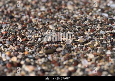 Sable de petits galets et coquillages sur la plage.gros plan avec de petites profondeurs de champ et de beau bokeh. Banque D'Images