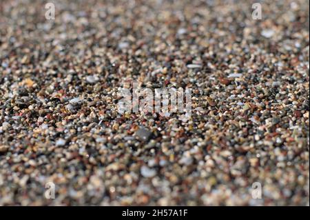 Sable de petits galets et coquillages sur la plage.gros plan avec de petites profondeurs de champ et de beau bokeh. Banque D'Images