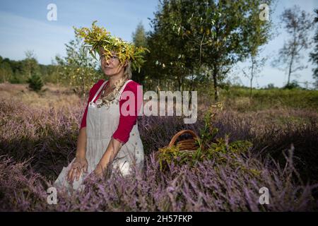 Un herboriste se trouve au milieu de la bruyère portant une guirlande de fleurs d'or.Herbes de champ. Banque D'Images