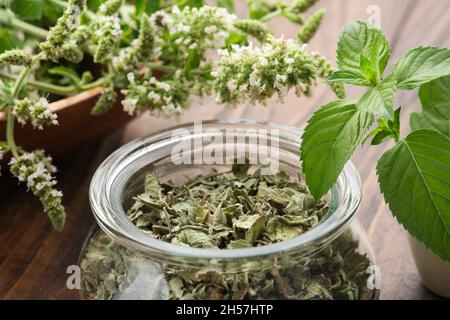 Pot en verre de feuilles de menthe séchées.Bol en bois de menthe poivrée en fleur.Mortier de feuilles de menthe fraîche. Banque D'Images