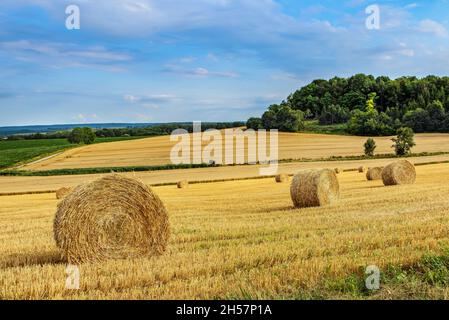 Tas de foin emballé avec fond de champ Banque D'Images