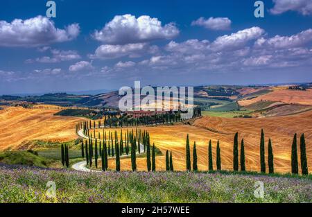 Toscane, Italie - 5 juillet 2018 : cyprès et prairie avec maison typique de Toscane, Val d'Orcia, Italie - Toscane Banque D'Images