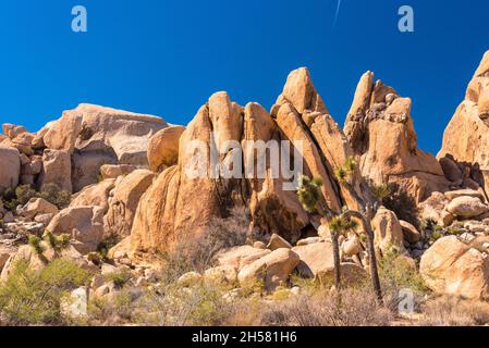 Grand paysage désertique dans le parc national de Joshua Tree, États-Unis Banque D'Images