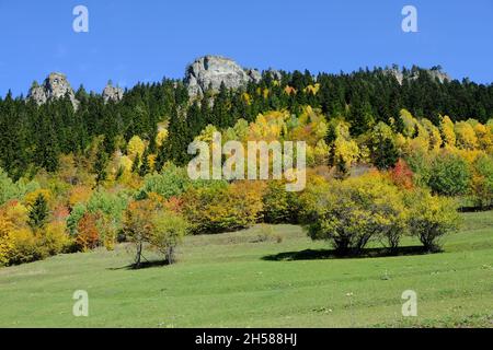 Les beautés naturelles de la province d'Artvin offrent de magnifiques vues à ses visiteurs en automne. Banque D'Images