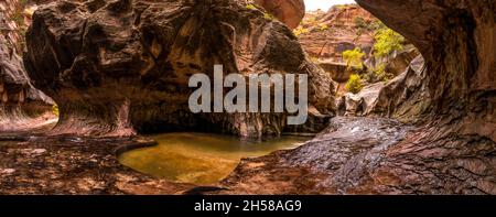 Magnifique site de la gorge du métro dans le parc national de Zion dans l'Utah, États-Unis Banque D'Images