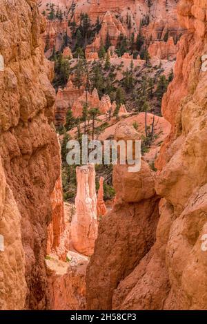 Des rochers pittoresques de la route Navajo Loop Trail qui traverse Bryce Canyon, aux États-Unis Banque D'Images