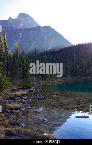 Belle eau cristalline du lac Cavell, entouré d'arbres avec des montagnes en arrière-plan Banque D'Images