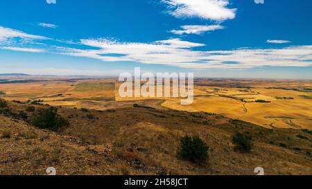 Collines ondoyantes dorées de la Palouse pendant l'été à Washington, États-Unis Banque D'Images