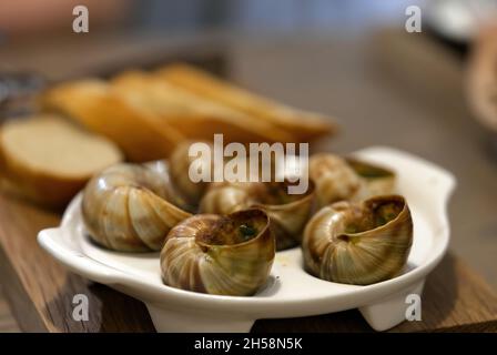 Helix aspersa Muller dans un restaurant.Escargots comestibles avec beurre et assaisonnements. Banque D'Images
