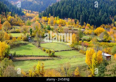 Les beautés naturelles de la province d'Artvin offrent de magnifiques vues à ses visiteurs en automne. Banque D'Images