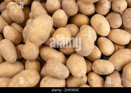 Tas de pommes de terre blanches, vue de dessus de fond de Raw Food Banque D'Images