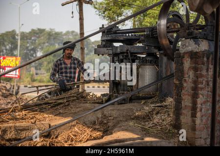 Roorkee, Inde.07th nov. 2021.Un jeune travailleur place la canne à sucre dans un broyeur pour extraire du jus pendant la production de jaggery dans une unité de production de Jaggery dans la partie inférieure de Roorkee.la fabrication de jaggery à partir de jus de canne à sucre est une industrie rurale traditionnelle dans de nombreuses régions de l'Inde.Plus de 70% de la production mondiale totale de jageries est réalisée par l'Inde.Crédit : SOPA Images Limited/Alamy Live News Banque D'Images