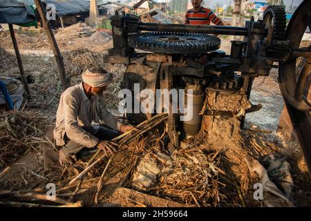 Roorkee, Inde.06e novembre 2021.Un travailleur place la canne à sucre dans une machine de concasseur pour extraire le jus pendant la production de jaggery dans une unité de production de Jaggery dans la partie inférieure de Roorkee.la fabrication de jaggery à partir de jus de canne à sucre est une industrie rurale traditionnelle dans de nombreuses régions de l'Inde.Plus de 70% de la production mondiale totale de jageries est réalisée par l'Inde.Crédit : SOPA Images Limited/Alamy Live News Banque D'Images