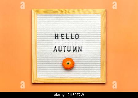 Sanglier avec texte Hello automnal, citrouille sur fond orange vue du dessus Flat Lay Seasonal concept Bonjour septembre, octobre, novembre Banque D'Images