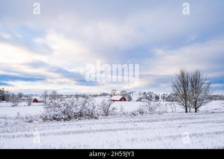 Paysage d'hiver avec neige dans le pays Banque D'Images