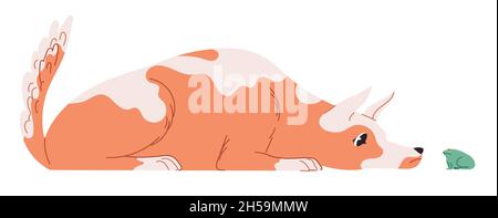 Le chien est allongé et regarde, renifle la grenouille. Illustration de Vecteur