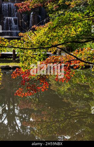 Gotenyama est une région vallonnée de Shinagawa et a servi d'ancien site du palais de retraite de Tokugawa Ieyasu.Gotenyama Garden est un jardin japonais qui c Banque D'Images