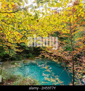 Forêt bleu turquoise lac avec des pierres de marbre blanc et des cascades dans le Parc naturel Urbasa-Andia, Urederra. Banque D'Images