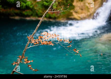 Forêt bleu turquoise lac avec des pierres de marbre blanc et des cascades dans le Parc naturel Urbasa-Andia, Urederra. Banque D'Images