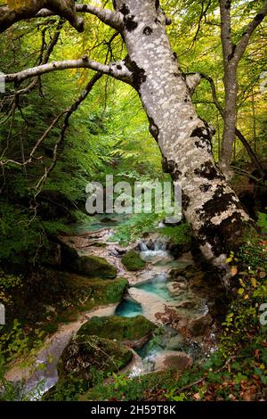 Forêt bleu turquoise lac avec des pierres de marbre blanc et des cascades dans le Parc naturel Urbasa-Andia, Urederra. Banque D'Images