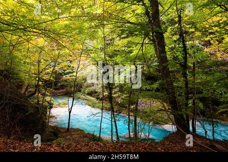 Forêt bleu turquoise lac avec des pierres de marbre blanc et des cascades dans le Parc naturel Urbasa-Andia, Urederra. Banque D'Images