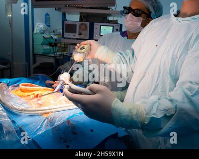 Attention sélective sur la main d'un chirurgien avec un instrument chirurgical.Chirurgie laparoscopique de haute technologie peu invasive.Sur un fond flou, une femme chirurgien porte des lunettes 3D. Banque D'Images