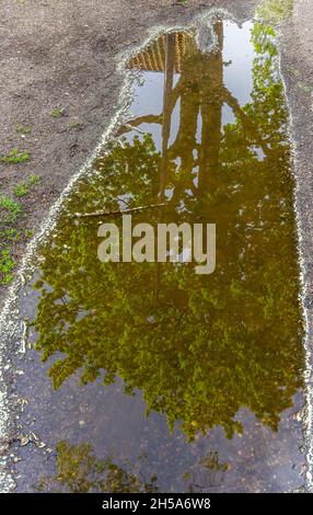 Vadstena, Suède - 23 mai 2021 : reflet de l'arbre avec des feuilles vertes visibles dans la flaque sur la marque Banque D'Images