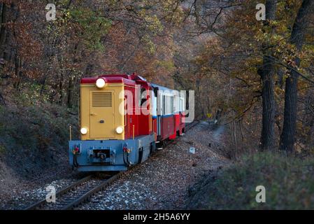 Le chemin de fer des enfants de Budapest (Gyermekvasút) s'entraîne dans la forêt Banque D'Images