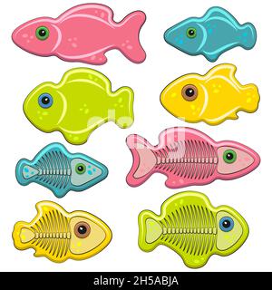 Ensemble d'illustrations de couleur de gelée de poisson avec des squelettes.Objets vectoriels isolés sur fond blanc. Illustration de Vecteur