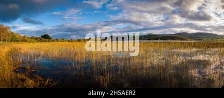 Lough Macnean sur la frontière de Fermanagh Cavan en Irlande du Nord Banque D'Images