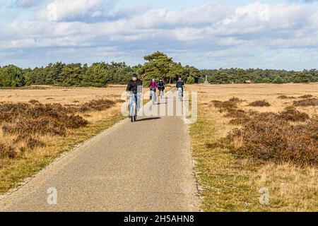 Dans le parc national de Hoge Veluwe : étendues sans fin et pistes cyclables intelligentes dans un paysage varié. Parc national de Hoge Veluwe à Otterlo, pays-Bas Banque D'Images