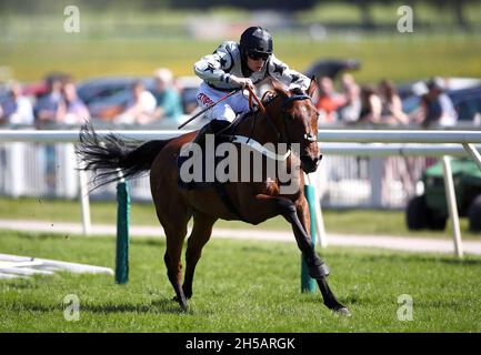 Photo du dossier datée du 30-05-2021 de pourrait être trouble monté par Jockey Theo Gillard.Pourrait être trouble peut réussir à obtenir un diplôme en classe dans le Yorton Stalions Mares's novicess' Chase à Bangor.Date de publication : lundi 8 novembre 2021. Banque D'Images