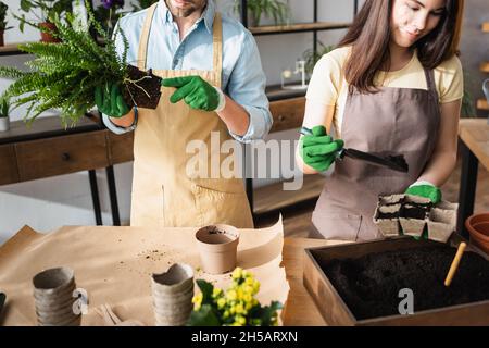 Fleuristes en tabliers et gants plantant des fleurs près des outils dans la boutique Banque D'Images