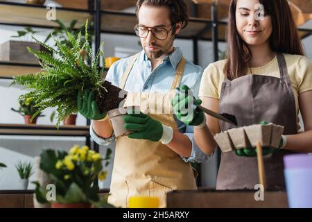 Jeunes fleuristes en tabliers plantant des fleurs dans un fleuriste Banque D'Images