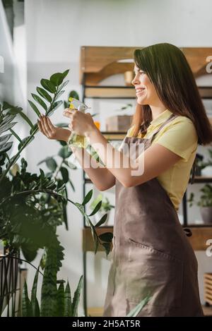 Vue latérale d'un fleuriste souriant dans une usine de pulvérisation de tablier dans un fleuriste Banque D'Images