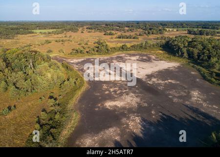 Lacs séchés Steenhaarplassen dans la réserve naturelle de Buurserzand pendant l'été extrêmement sec de 2018, Overijssel, pays-Bas Banque D'Images