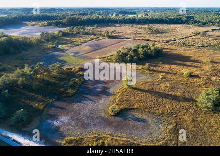 Lacs séchés Steenhaarplassen dans la réserve naturelle de Buurserzand pendant l'été extrême sec de 2018, Overijssel, pays-Bas Banque D'Images