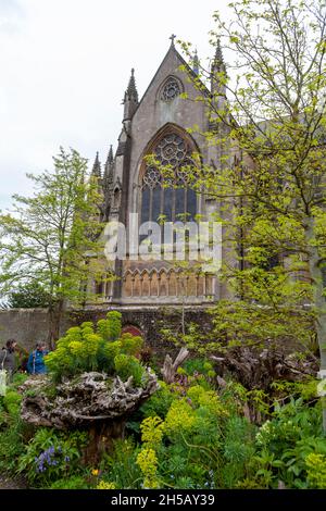 Cathédrale d'Arundel, depuis le Stumpery, jardin du collectionneur Ear, château d'Arundel, West Sussex,ROYAUME-UNI Banque D'Images