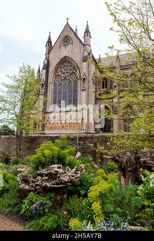 Cathédrale d'Arundel, depuis le Stumpery, jardin du collectionneur Ear, château d'Arundel, West Sussex,ROYAUME-UNI Banque D'Images