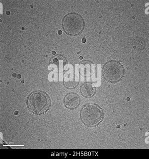 Image électronique d'un médicament anticancéreux (doxorubicine) ; stratégies modernes d'administration de médicaments Banque D'Images