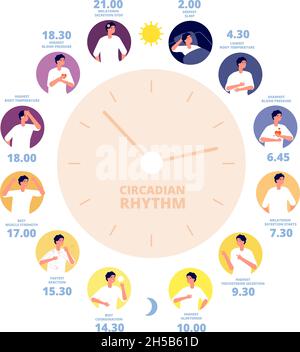 Rythme circadien.Affiche médicale, exposition aux hormones cérébrales humaines.Diagramme de nuit de jour sain, cycle de sommeil et sur le concept de vecteur de la réaction de la lumière du soleil Illustration de Vecteur