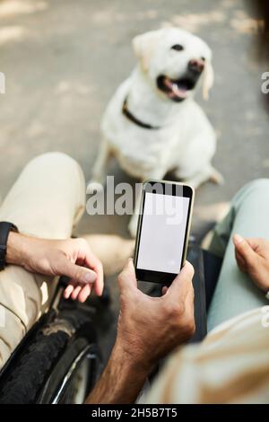 Gros plan d'un homme adulte en fauteuil roulant utilisant un smartphone avec écran vierge, chien en arrière-plan, espace de copie Banque D'Images