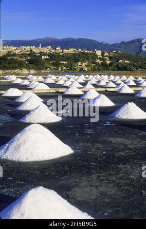 MARAIS SALANTS, GOLFE DE PORTO-VECCHIO, CORSE DU SUD (2A) FRANCE Banque D'Images