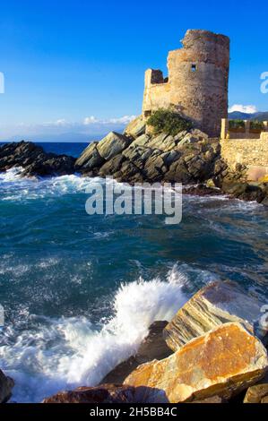 FRANCE, CORSE ( 2B ), ERLALUNGA, TOUR GENOVESE D'ERBALUNGA AU NORD DE LA VILLE DE BASTIA DANS LA CAP CORSE Banque D'Images