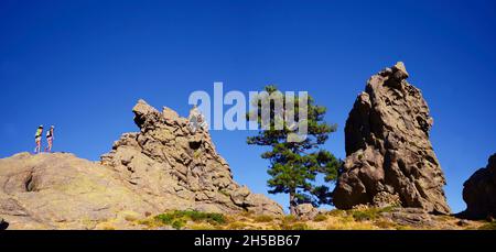 FRANCE, CORSE ( 2A ), ZONZA, TREK DANS LES MONTAGNES DE BAVELLA, CÉLÈBRE SENTIER APPELÉ GR 20 Banque D'Images