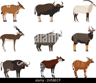 Jeu de personnages de la faune africaine.Caricature des habitants sauvages du zoo, image des créatures de la savane, ensemble d'illustrations vectorielles d'animaux isolés sur fond blanc Illustration de Vecteur