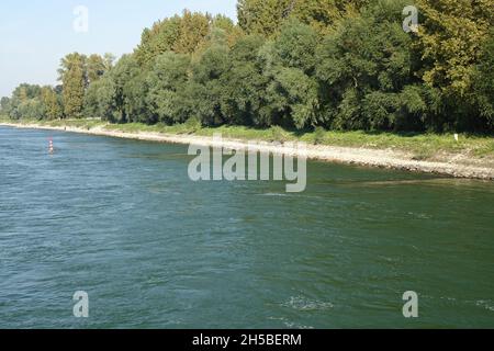 Rive orientale du Rhin vue de la rivière par un jour d'automne froid et ensoleillé, Maxau, Karlsruhe, Bade-Wurtemberg, Allemagne Banque D'Images