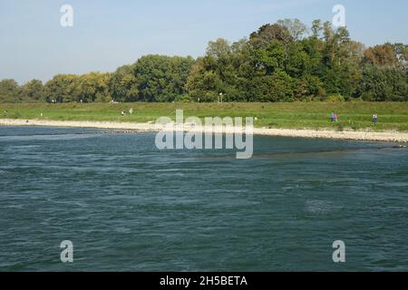Rive orientale du Rhin vue de la rivière par un jour d'automne froid et ensoleillé, Maxau, Karlsruhe, Bade-Wurtemberg, Allemagne Banque D'Images