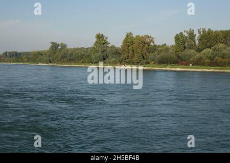 Rive orientale du Rhin vue de la rivière par un jour d'automne froid et ensoleillé, Maxau, Karlsruhe, Bade-Wurtemberg, Allemagne Banque D'Images